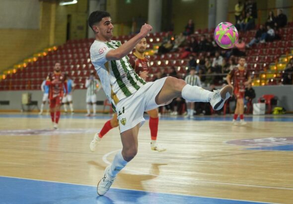 [Aggregator] Downloaded image for imported item #373870